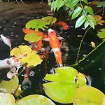 Maison Du Jardin Botanique 7 Min Centre Et Gare Accueil Velos منزل للإقامة