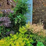 Homestay Maison Du Jardin Botanique 7 Min Centre Et Gare Accueil Velos Tourcoing