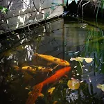 منزل للإقامة Maison Du Jardin Botanique 7 Min Centre Et Gare Accueil Velos