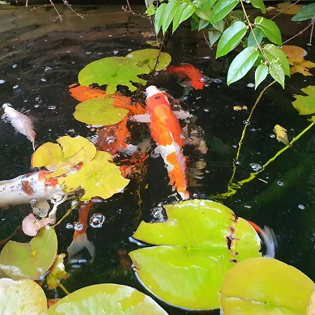 Maison Du Jardin Botanique 7 Min Centre Et Gare Проживание в семье