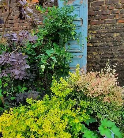 Проживание в семье Maison Du Jardin Botanique 7 Min Centre Et Gare Туркуэн