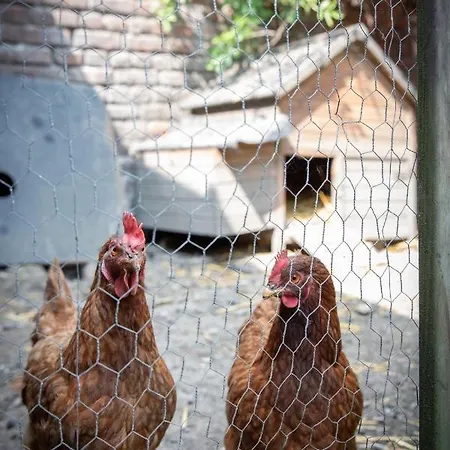 Séjour chez l'habitant Maison Du Jardin Botanique