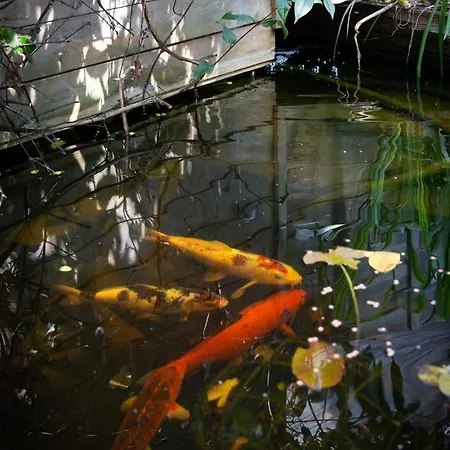 Séjour chez l'habitant Maison Du Jardin Botanique
