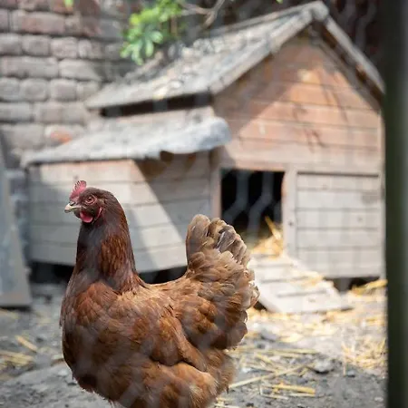 Maison Du Jardin Botanique 7 Min Centre Et Gare * Туркуэн