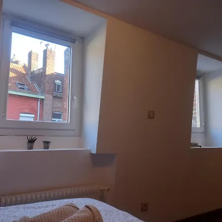 Maison Du Jardin Botanique 7 Min Centre Et Gare