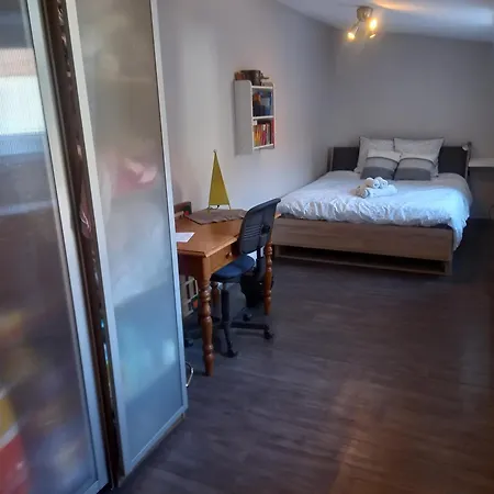 Maison Du Jardin Botanique 7 Min Centre Et Gare