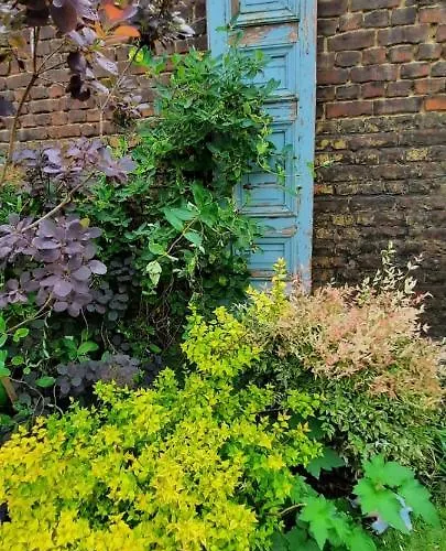 Rum i privatbostad Maison Du Jardin Botanique 7 Min Centre Et Gare Accueil Velos Tourcoing